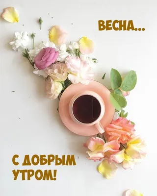 весна вторник доброе утро｜TikTok Arama