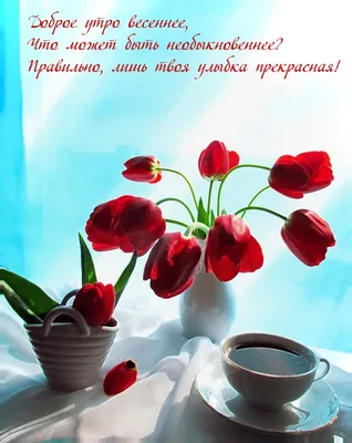 Пин от пользователя Екатерина Романенко на доске Доброе утро | Радужные  розы, Открытки, Доброе утро