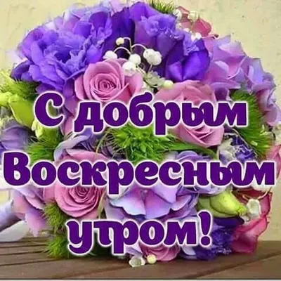 ВОСКРЕСЕНЬЕ. ДОБРОЕ УТРО ДРУЗЬЯ... - Позитив Юмора и Природы | Facebook