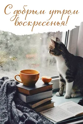 Открытка Доброе утро Воскресенья!