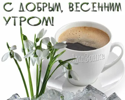 Фрунзенский. Днепр - Утро...Кофе и Весна... И Жить Хорошо, И Жизнь Хороша!  С Добрым Весенним Утром, Друзья! 🌸☕🍀💞 | Facebook