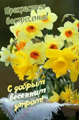 С добрым воскресным утром! 😃😀😄 | С добрым утром! (открытки) | ВКонтакте