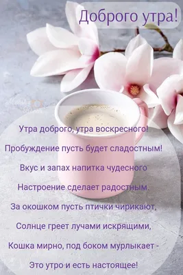 С добрым, воскресным утром! 😊 | Открытки | ВКонтакте
