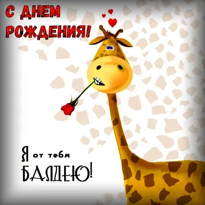 Прикольные картинки с др - фото, открытки, поздравления - pictx.ru