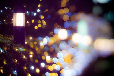 Освещенная фонарями дорога Stock Photo | Adobe Stock
