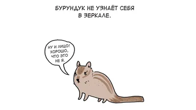 Грустные котики картинки - 77 фото