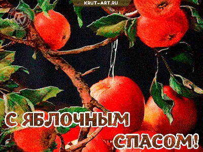 Яблочный спас иллюстрация (39 фото) » Уникальные и креативные картинки для  различных целей - Pohod.club