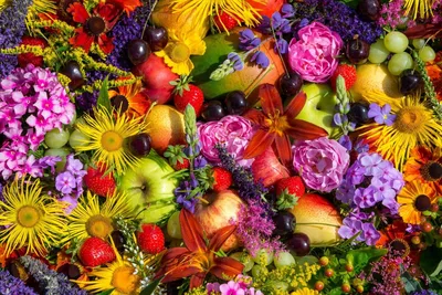 очень красивые яркие цветы - ePuzzle фотоголоволомка