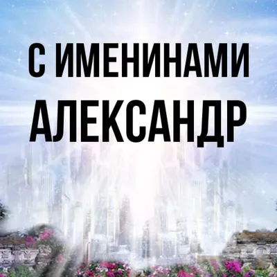 Вымпел с именами на присосках 35х10 см // Табличка с именем Александр цвет  синий в авто - купить по выгодным ценам в интернет-магазине OZON (708134671)