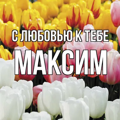 Магнит с именем Максим (Макс) 11,5x9,5см купить в 55опторг (АВ40697) по  цене 37.50 руб.