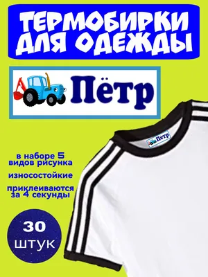 Термонаклейка для одежды с именем ПЕТР - купить с доставкой по выгодным  ценам в интернет-магазине OZON (966738014)