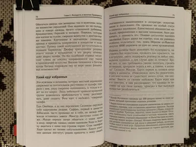 Иллюстрация 42 из 43 для Харун ар-Рашид и времена \"Тысячи и одной ночи\" -  Андре Кло