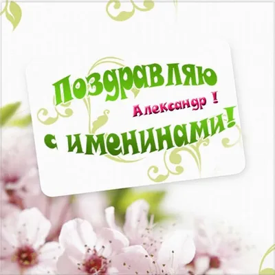 Pozdravsya.ru - С ИМЕНИНАМИ АЛЕКСАНДРА С Днем Александра поздравляю!  Благополучия желаю. Удачи в каждом твоем дне, Счастья — да было чтоб  вдвойне. Любви, чтобы опорой была, Удача рядышком ходила, Хранитель-Ангел  был чтобы