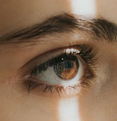 Характеристика людей с карими глазами | полезные статьи | Дзен