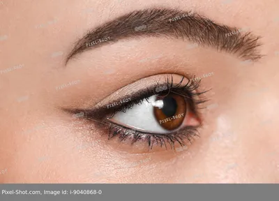 Foto Stock Прекрасная девушка с карими глазами на черном фоне. | Adobe Stock