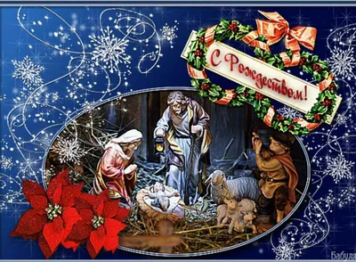 Поздравление с католическим Рождеством!: taxfree — LiveJournal - Page 2