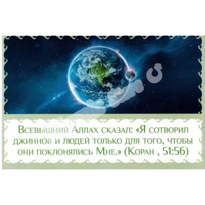 Кладовщик из Казани написал портрет Хабиба Нурмагомедова и его отца хадисами  и сурами из Корана | Asia-Plus Новости Таджикистана | Дзен