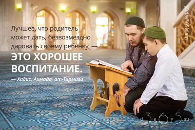 Излишества в запрещении | muslim.kz