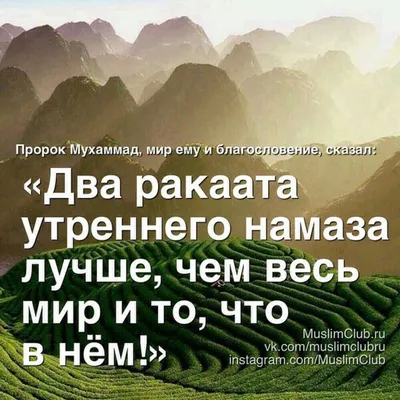 Хадисы на Ночь Карима Сорокоумова купить по низким ценам в  интернет-магазине Uzum (838856)