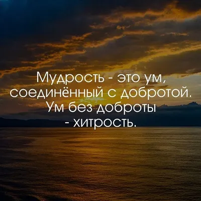 📕 Цитаты и афоризмы (@thought_great) • Instagram photos and videos