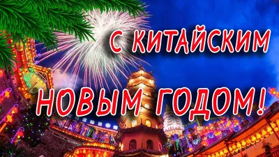 С Китайским Новым годом! Новогодняя подборка Таня Виннер