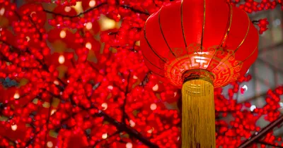 Поздравляем с 2022 Китайским Новым годом! | TRANSIMPERIAL