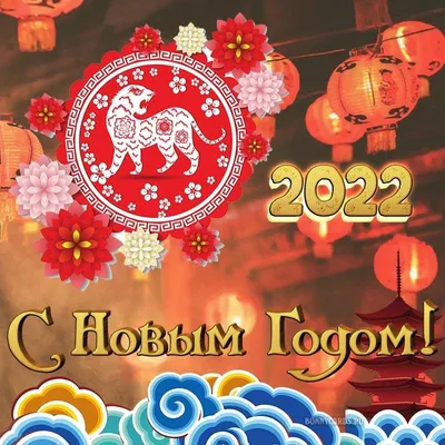 Китайский Новый год 2022 - яркие открытки и поздравления — УНИАН