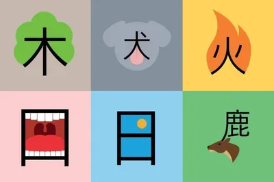 Фотообои \"Ветви сакуры с китайскими иероглифами\" - Арт. 040190 | Купить в  интернет-магазине Уютная стена