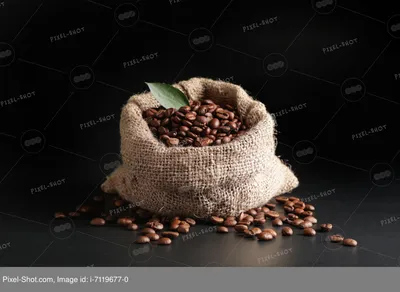 Фото Кофе во французской прессе, большая чашка кофе, банка с кофейными  зернами и разбросанными кофейными зернами