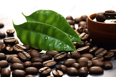 типографская цитата с кофейными зернами 3d визуализированный дизайн  утреннего напитка, семена кофе, кофейные зерна, обжарка кофе фон картинки и  Фото для бесплатной загрузки