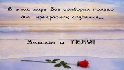 Композиция из двух связок с комплиментами для девушки (ID#1115959164),  купить на Prom.ua
