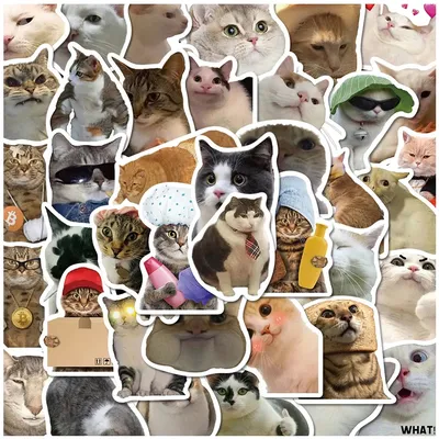 10/30/50 шт милые наклейки с кошками эстетические животные забавные мемы  мультфильм наклейки чехол для телефона багаж канцелярские украшения пакеты  наклеек | AliExpress