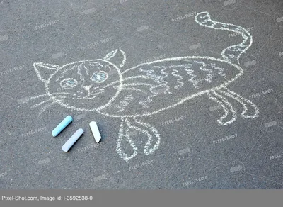 Самые известные рисованные коты Рунета