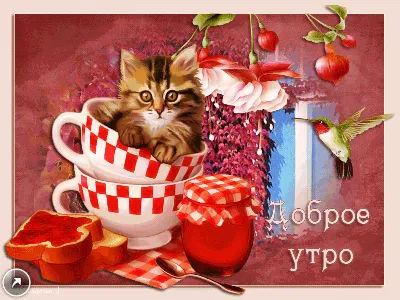 Открытки с добрым утром с котятами - Фотографии на любой вкус - snaply.ru