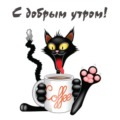 Чёрный кот: открытки с добрым утром - инстапик | Открытки, Счастливые  картинки, Доброе утро