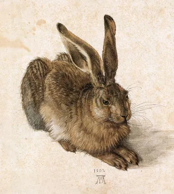 Calaméo - «Заяц и кролики» [фрагмент]