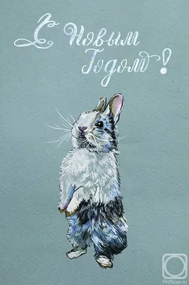 Девочка с кроликом» картина Фоминой Людмилы маслом на холсте — купить на  ArtNow.ru