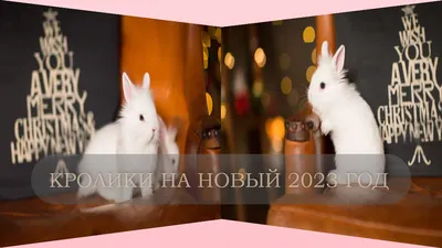 Набор новогодних наклеек с кроликами для интерьера, наклейки для стен и  окон, многоразовый двухсторонний моющийся декор для украшения детской на  новый год купить по выгодной цене в интернет-магазине OZON (814289920)