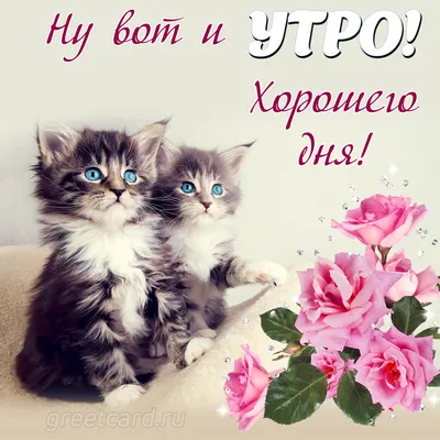 Поздравить открыткой со стихами на доброе утро - С любовью, Mine-Chips.ru