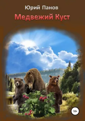 Лучшее за год: Подставь бочок - есть ли у вас шансы победить медведя - 8  января 2019 - НГС.ру