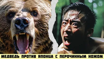 Закопал тело в кустах. В Магадане охотятся на медведя-убийцу | ПРОИСШЕСТВИЯ  | АиФ Иркутск