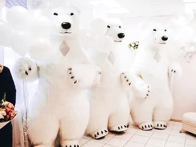 Оригинальное поздравление с Днём Рождения от мужа 🎁 Белый медведь выносит  и вручает подарок. - YouTube