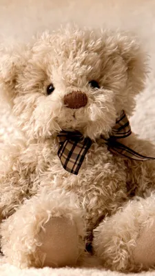 Скачать 938x1668 teddy bear, игрушка, мишка, плюшевый обои, картинки iphone  8/7/6s/6 for parallax