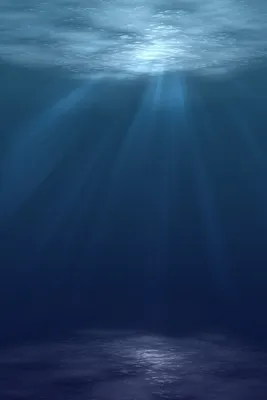 Подводное тропическое морское дно с рифом и солнечным светом | Премиум Фото