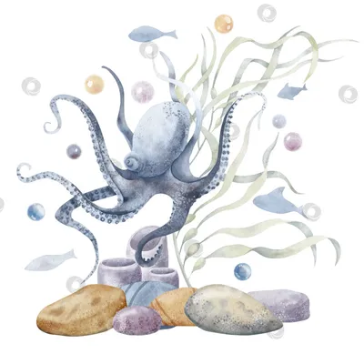 Медузы над морским дном с Seagrass и кораллом Стоковое Изображение -  изображение насчитывающей панама, жизнь: 46341531