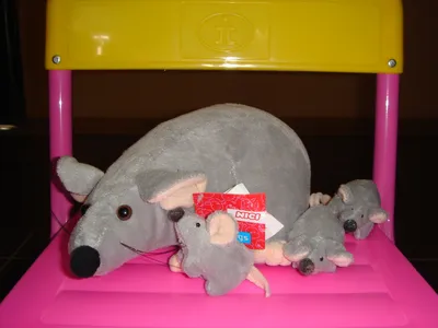 Игровой набор Мышка Маурия с мышатами и коляской Enchantimals HKR57 Mattel  купить по доступным ценам в Омске