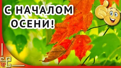 Открытка с началом ноября - осенние листья и красивая надпись - Скачайте на  Davno.ru