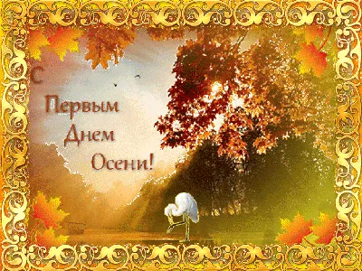 С первым днем осени: красивые и прикольные картинки для поздравления с 1  сентября - МК Новосибирск