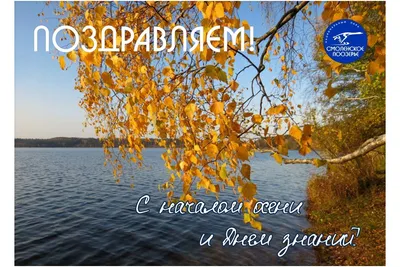 С началом осени вступает в силу ряд нормативных актов, которые изменят  работу бухгалтера. Эксперты Контур.Экстерна рассказали об основных… |  Instagram