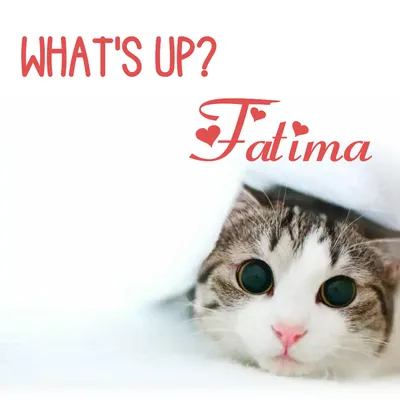 Открытка с именем Фатима Я тебя люблю картинки. Открытки на каждый день с  именами и пожеланиями.